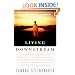 Living Downstream: A Scientist's Personal Investigation of Cancer and the Environment