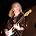 Great White