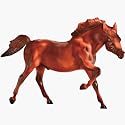 Breyer Traditional Flame the Island Stallion with Book