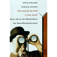 Wie kommt die Welt in den Kopf?