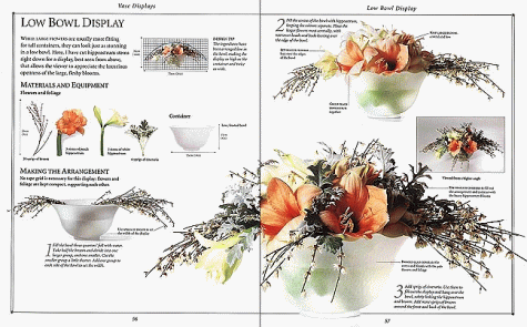 The Complete Guide to Flower Arranging