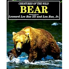 Bear (Creatures of the Wild)