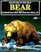 Book Bear (Creatures of the Wild)