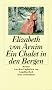 Ein Chalet in den Bergen: Roman (insel taschenbuch)