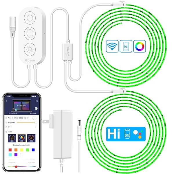 govee home google home