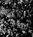 Paul Himmel: Photographs