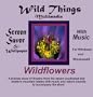 Wildflowers: Multimedia Screen Savers