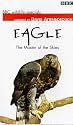 BBC Wildlife Special - Eagle: The Master Of The Skies [VHS] [1997]