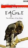 BBC Wildlife Special - Eagle: The Master Of The Skies [1997]