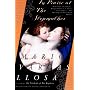 In Praise of the Stepmother von Mario Vargas Llosa