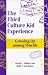 The Third Culture Kid Experience: Growing Up Among Worlds