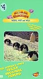 Animal Crackups: Weird Wet Wild [VHS] [Import]