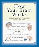 How Your Brain Works