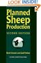 Planned Sheep Production