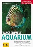 Produkt-Bild: Wasserwelt Aquarium