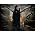 Thumbnail image of Ministry