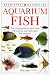 Book DK Handbooks: Aquarium Fish