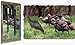 Western Rivers Tom Foolery Motion Turkey Decoy Model 995