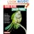 Guide to the Quaker Parrot