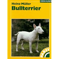Bullterrier.