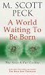 A World Waiting to be Born: Search for Civility