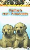 Einfach zum Knuddeln - Hunde-Babys