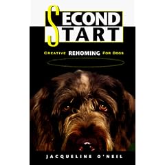 Second Start: Creative Rehoming for Dogs
