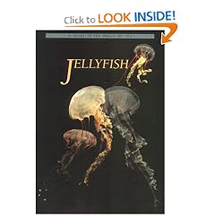A Guide to the World of the Jellyfish