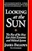 Looking at the Sun: The Rise of the New East Asian Economic and Political System