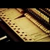 Grown Ocean directed by Sean Pecknold