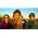 Thumbnail image of The Flaming Lips