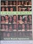 Visual Display: Culture Beyond Appearances (Discussions in Contemporary Culture)