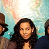 Image of Carolina Chocolate Drops