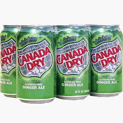 Cover image : カナダドライ:ジンジャーエール(ディカフェーカフェイン抜き) 24缶入り Canada Dry Ginger Ale, Caffeine Free in a can (24/pkg)