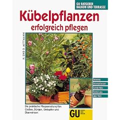 K�belpflanzen erfolgreich pflegen