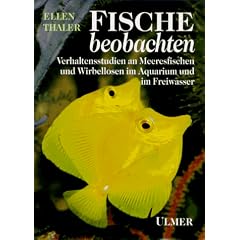 Fische beobachten