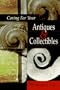 Protecting Your Treasures: A Guide to the Care and Preservation of Antiques and Collectibles