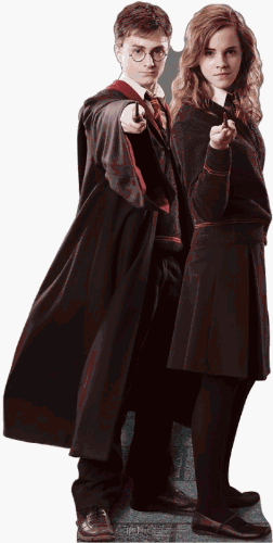 Harry and Hermione - Harry Potter Cardboard Stand-Up
