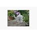Alan Titchmarsh Watering Can Radio