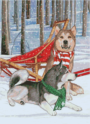 Pipsqueak Productions C996 Holiday Boxed Cards- Alaskan Malamute On Sale
