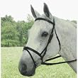 Collegiate Padded Flash Bridle - Havana