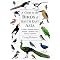 Birds (Southeast Asia)
