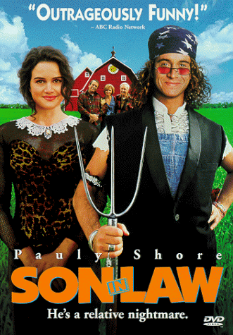 CD-Charts  DVD : Son-In-Law
