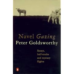 Navel Gazing: Essays, Half-Truths and Mystery Flights