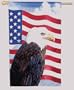 American Eagle - Toland Art Banner