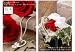 �����z�B���ԉ����� �l�t�̃N���[�o�[�l�b�N���X�{�v���U�[�u�h�t�����[�Z�b�g �y���������z�E�y�͓��w��\�z