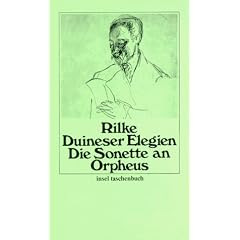 Duineser Elegien. Die Sonette an Orpheus (insel taschenbuch)