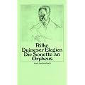 Duineser Elegien. Die Sonette an Orpheus (insel taschenbuch)