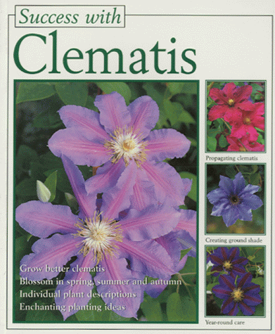 Clematis (Success with)