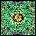 Wilderness [CD]
